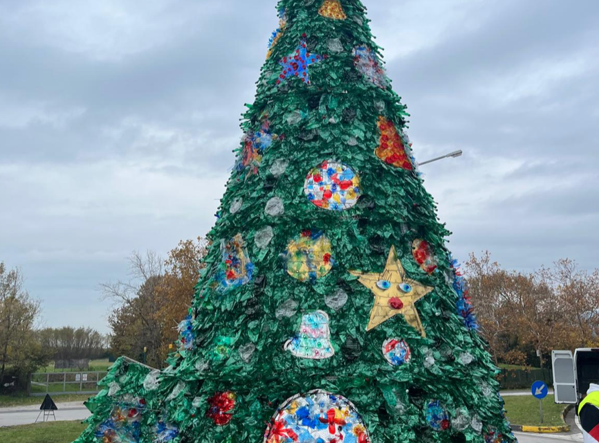 A Muggia posizionato l’albero di Natale di SCART